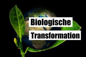 Die biologische Transformation