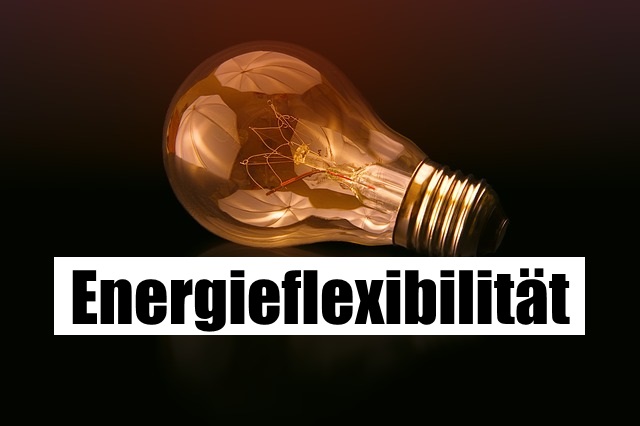 Energieflexibilität