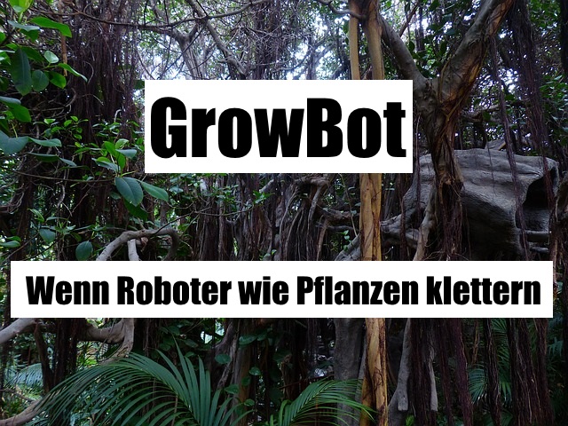 growbot chrome